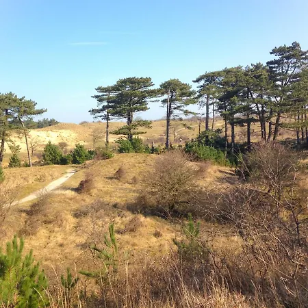 Nocleg ze śniadaniem Noordzee-kerstdeco-sauna-strand7km-kennemerduinen